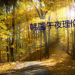 韩国午夜理伦三级20202