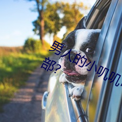 男人的小叽叽可不可以插进女性地阴部? （吐刚茹柔）
