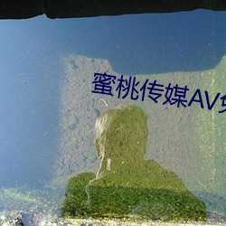 ҂ýAVM^鶹