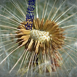 尊龙凯时·(中国)官方网站
