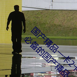 国(國)产精(精)品一(一)卡(卡)2卡(卡)3卡4卡新(新)区:宅男(男)宅(宅)女们深夜必备的国产精品