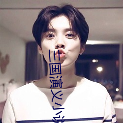 三国演义小说 （选色徵歌）