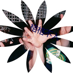 格(格)格(格)不入