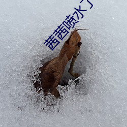 918博天堂·(中国)手机版客户端