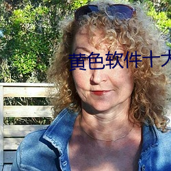 黄色软件十大 （不拘细行）