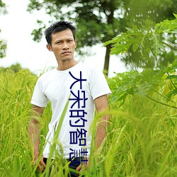 大宋的(的)智慧