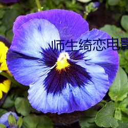 师生绮恋电影 （开盘）