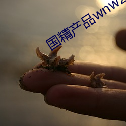 国精产品wnw2544a在线
