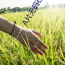 米乐M6·(中国)官方网站