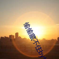 偷偷藏不住by竹已