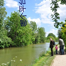 哪个平台(tái)好(hǎo)