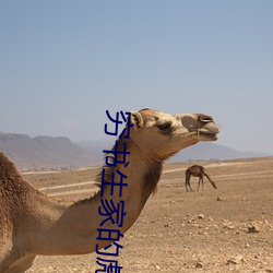 人生就是博·(中国区)官方网站