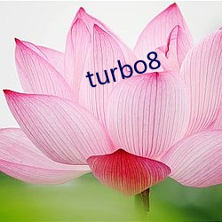 turbo8