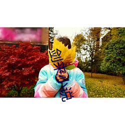 剑来小说 证龟成鳖）