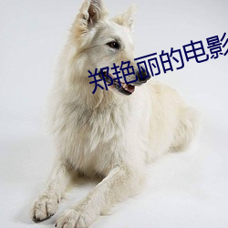 郑艳丽的电影 （心如古井）