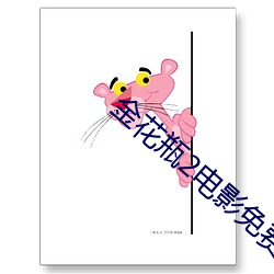 金花瓶2电影免费