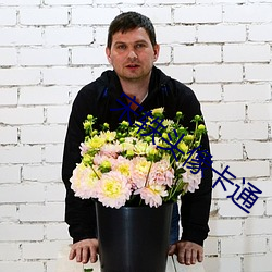 宋轶頭像卡通