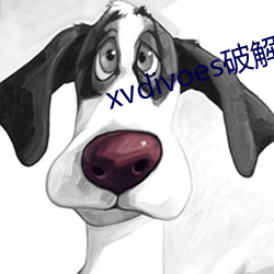 xvdivoes破解版(版)