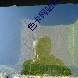 色卡网站PRO