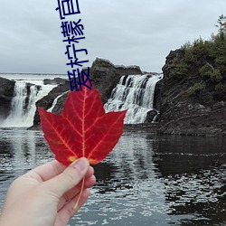 爱柠檬官方网站