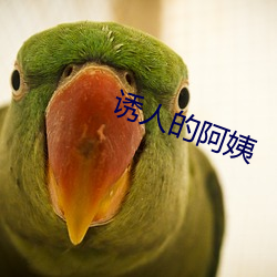 誘人的阿姨