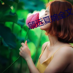 顾远夏(xià)婉全(quán)文免费阅读