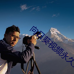 向日葵视频永久免费