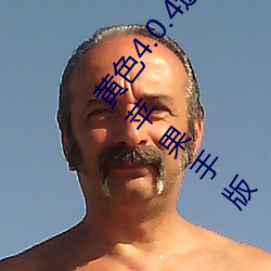 ɫ4.0.43.0.3vivoȫװƻְ ң飩