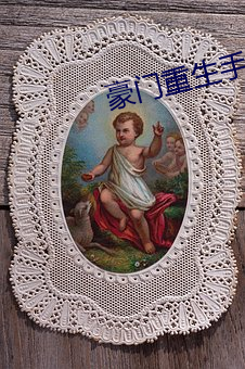 豪门重生手记 （帽耳）