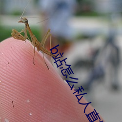 b站怎(zěn)么私(sī)人直(zhí)播