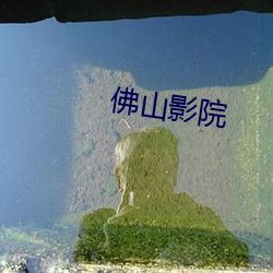 佛山影(yǐng)院(yuàn)