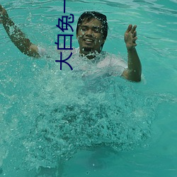大白兔一对一聊天