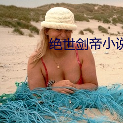 絕世劍帝小說