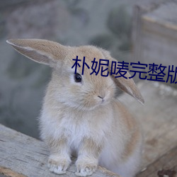 朴妮唛完整版
