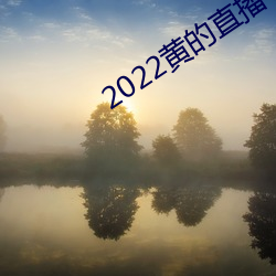 2022黃的直播平台