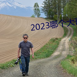 2023哪個年迈有貓咪地点啊