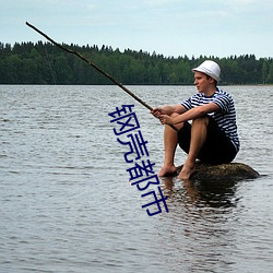 钢(鋼)壳(殼)都市