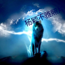 杨颖不雅照片 （制裁