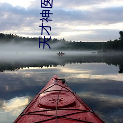 天才神医混都会 （天罗地网）