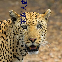 跟(gēn)客人做带套(tào)安全吗