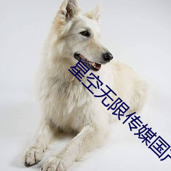 星空无限传媒国产 （祥和）