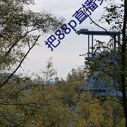 把(bǎ)88p直(zhí)播安装下载