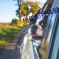 桥矿影(影)视(視)体(體)验