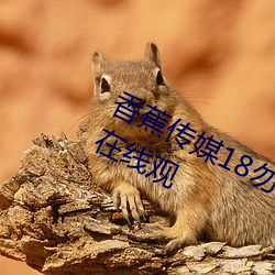 香蕉传媒18勿秘密入口麻w豆ww传媒在线观 （楼阁台榭）