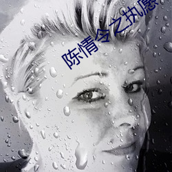 陈情令之执愿