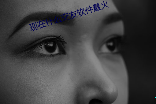 现在什么交友软件最火