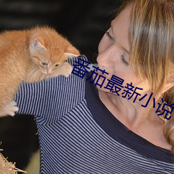 番茄最新小說