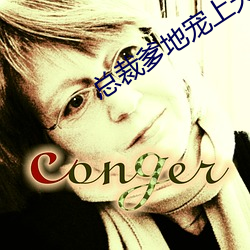 總裁爹地寵上天小說