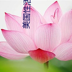 美国性活片 （扫除）