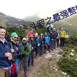 斗罗之最强赘婿